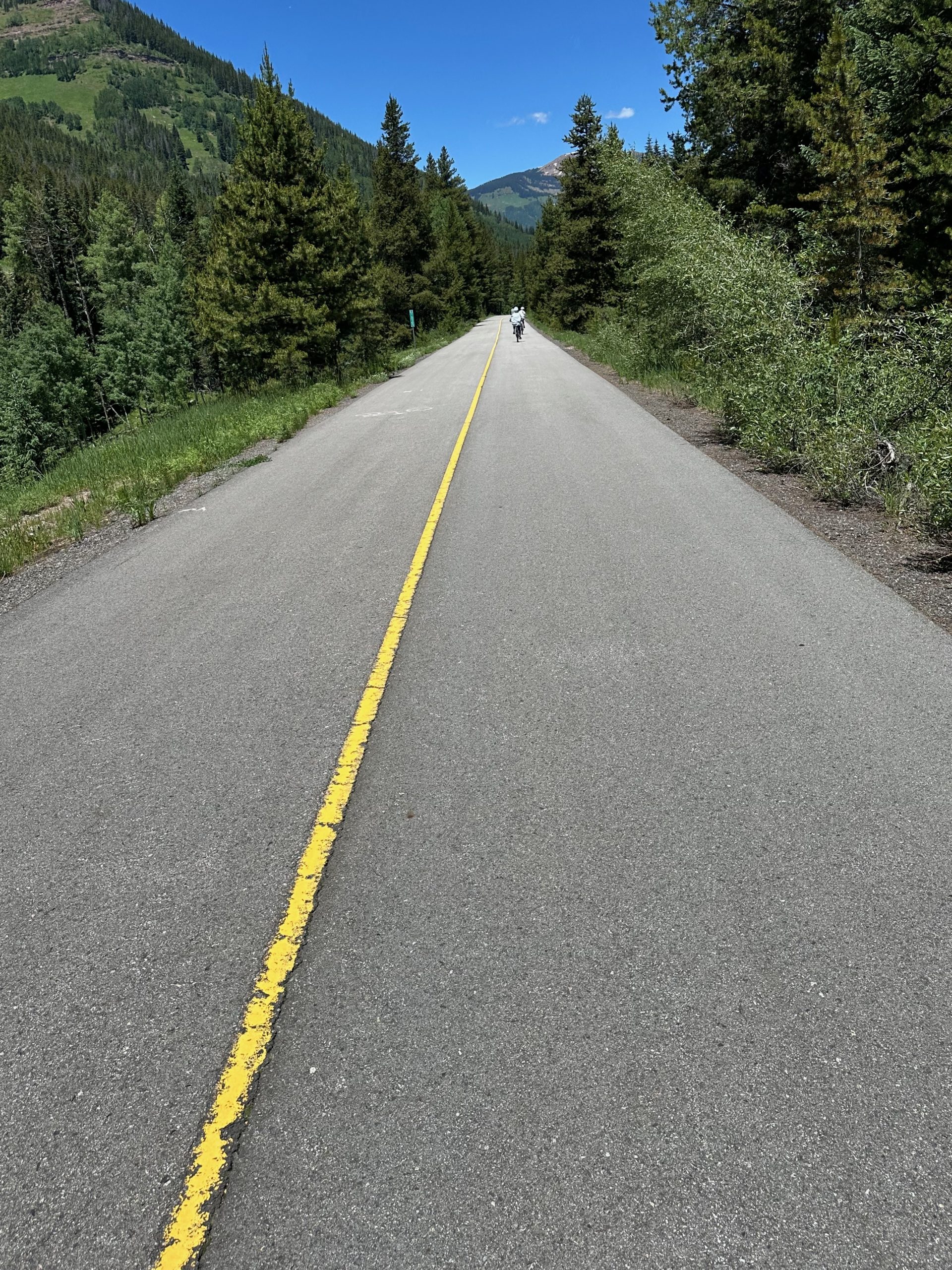 Vail Pass bike lanes during a Vail Pass Bike Tour.