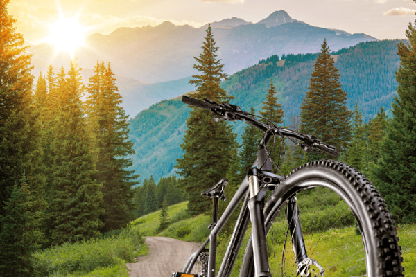 Mountain bike in foreground with scenic forest and mountain landscape at sunrise, ideal for outdoor adventures and bike rentals.