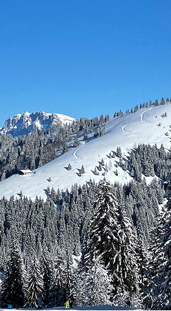 Skiing at Beaver Creek, Colorado