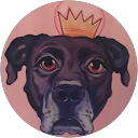 maxwell schwartz profile picture